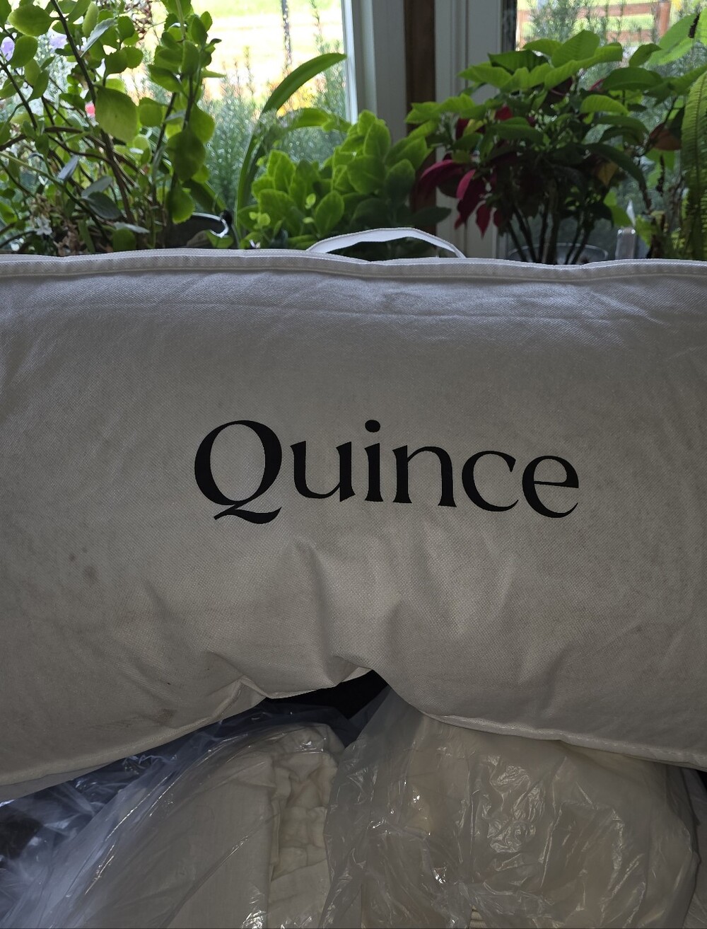 Quince Premium Down Alternative King Pillow (Medium/Firm) - NWT